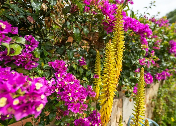 Casa Oleandro Tatil Evi Villasimius