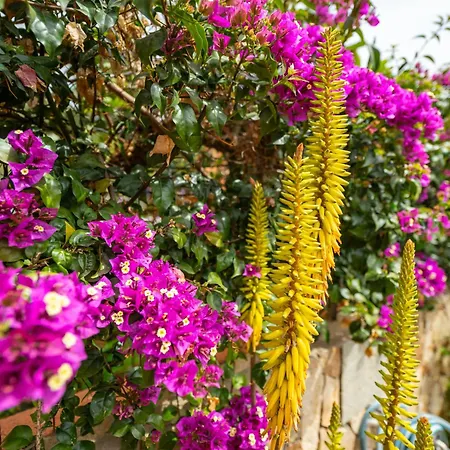 Casa Oleandro Сasa de vacaciones Villasimius